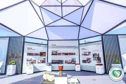 直擊第五屆江蘇志愿服務(wù)展示交流會開幕 蘇州市青年“手繪鄉(xiāng)村”志愿服務(wù)項(xiàng)目特展現(xiàn)場紀(jì)實(shí)